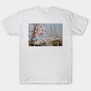 Almond Blossom T-Shirt